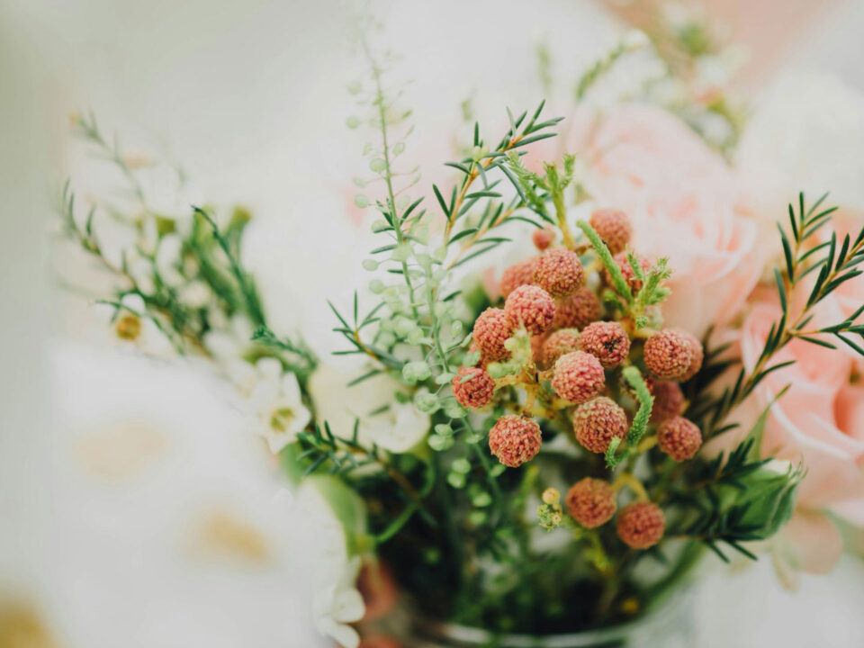 Bouquet of small red flowers.